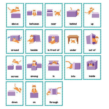 Lachilly Prepositions Flashcards: English Words, High Frequency, Beginning Reading, Kindergarten, Autism, Vocabulary Building, 1
