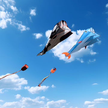 Kaiciuss Orcas Kite For Kids & Adults, Large 3D Single Line Beach Kite, Huge Frameless Soft Kite, Giant Parafoil Whale Breeze Kite, It Comes With 300Ft String Kite Hoop