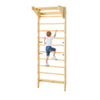 VEVOR Swedish Ladder Wall Gym, 2-in-1 10-Level Indoor Jungle Gym, 220LBS Loading Solid Wood Gymnastic Stall Bars for Kids & Adul