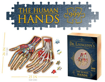 Genius Games Dr. Livingston's Human Hands Anatomy Puzzle - Medically Accurate Cardboard Jigsaw, Model 231085, Educational Toy for Science Lovers