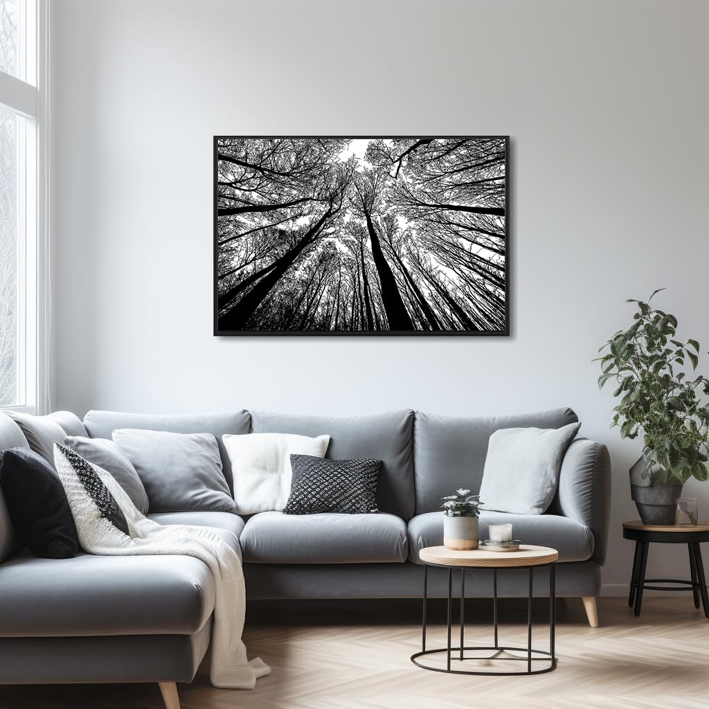 Bgraamiens Puzzle-Forest In Black And White-1000 Pieces Creative Black And White Nature Scenery Hard Puzzle Blue Board Jigsaw Pu