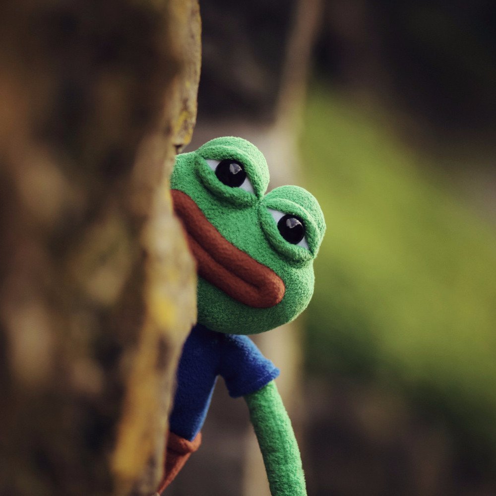 Hashtag Collectibles Pepe The Frog - The Official Plush Doll (Anatomically Correct)