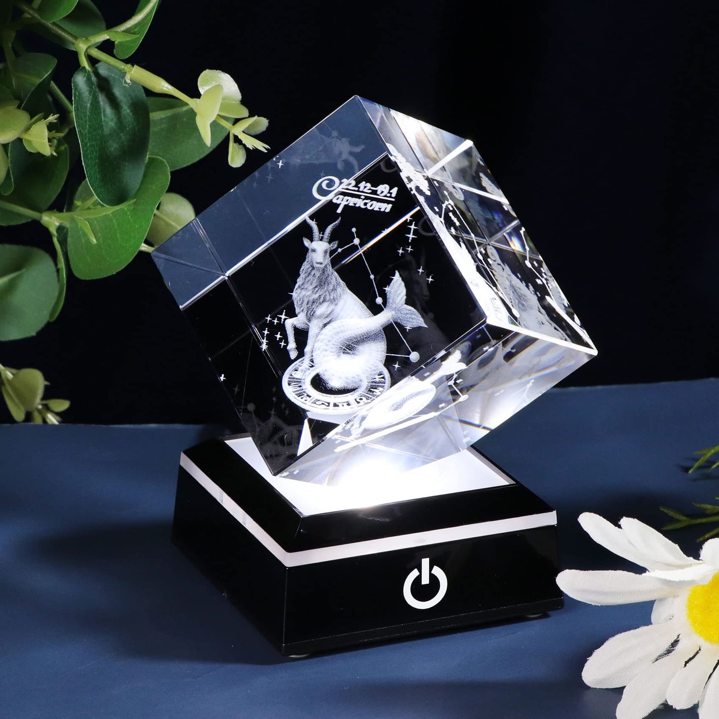 3D Crystals Capricorn Zodiac Astrology Gifts For Women Men,Capricorn Glass Figurine Decor Constellation Stuff December January B