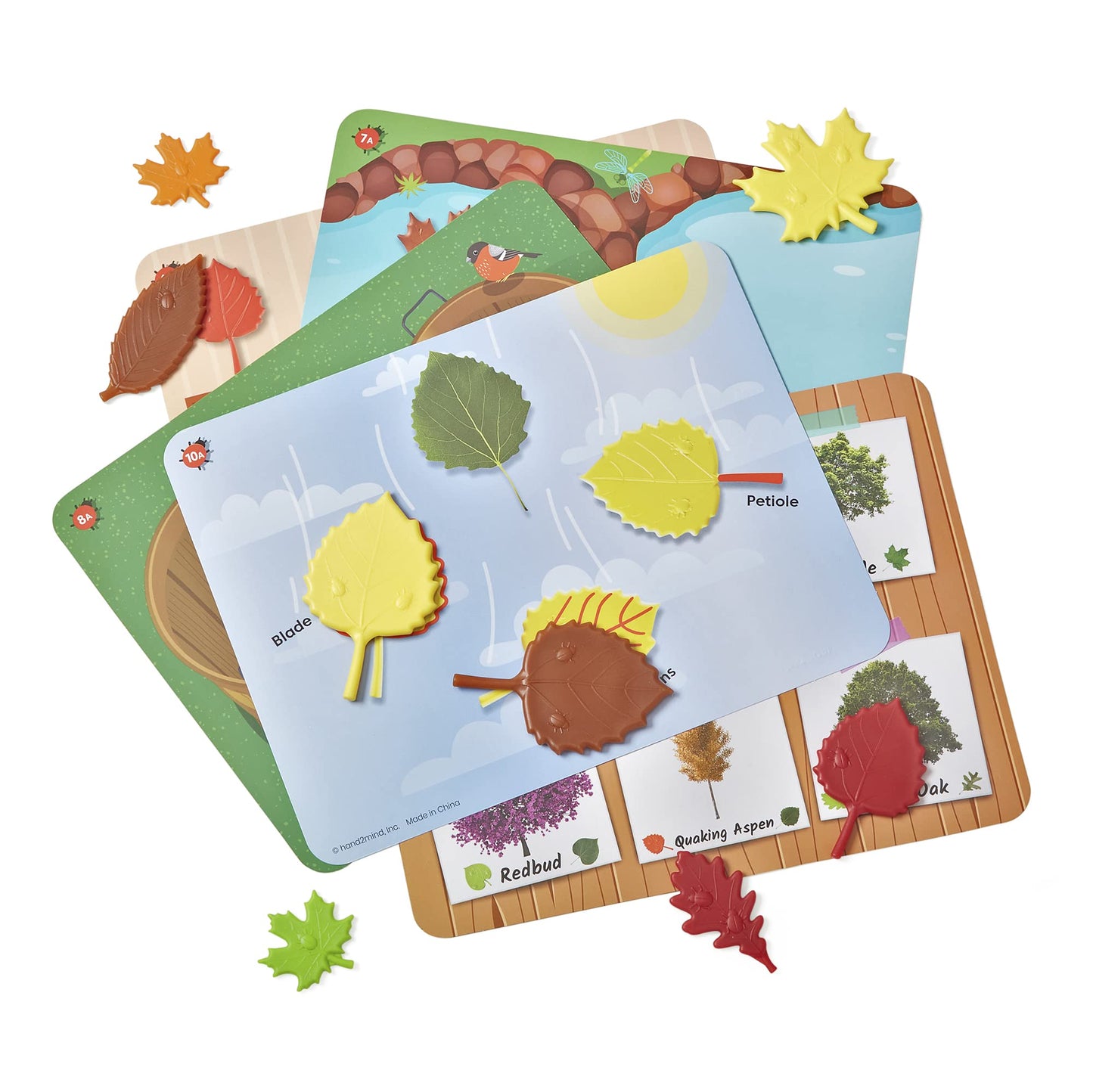 Hand2Mind Sensory Leaves Math Activity Set, Pattern Play, Shape Puzzle, Pattern Blocks Cards, Math Counters, Sorting Toy, Shapes For Toddlers, Counting Toy, Kindergarten Learning Activities
