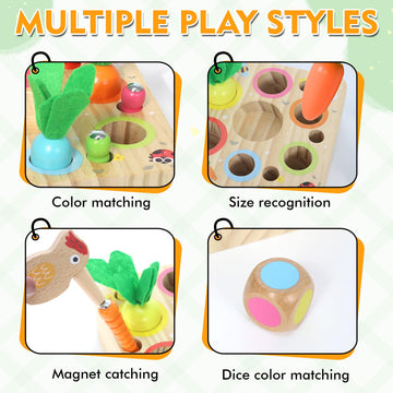 Ancaixin Montessori Toys For 1 Year Old, Magnetic Wooden Toys For 12 Months Boys And Girls, Educational Carrot Toy For Toddlers,