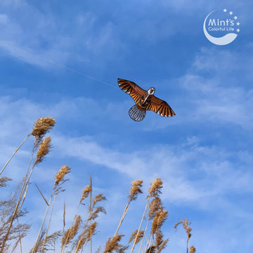 Eagle Kite For Kids Adults With 60' Wingspan