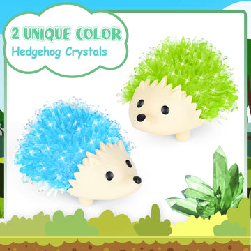 sdaymol Crystal Growing Kit for Kids - 2 Colors Hedgehog to Grow Fast in (24H) Science Experiments Learning & Educational Toys Science Kits for Kids Age 8-12 STEM Project Gifts for Boys & Girls 6+