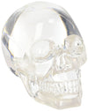 Clear Translucent Skull Collectible Figurine