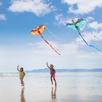Mint's Colorful Life Dragon Kites for Kids & Adults, Easy to Fly for Beginners Best Beach Kite for Outdoors (2 Pack)