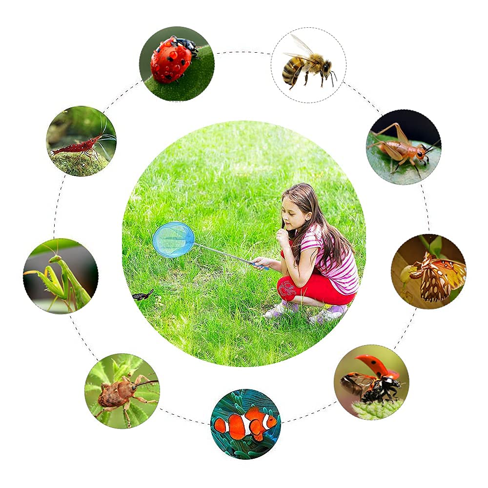 Kids Telescopic Butterfly Nets, 6 Pack Colorful Insect Net Perfect Outdoor Tools For Catching Bugs Fish Insect Ladybird, Extendable 34 Inches And Anti Slip Grip