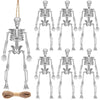 DULEFUN 6pcs Small Skeleton Figurines 6 Inch Mini Plastic Skeletons for Craft Halloween Hanging D  cor Poseable Skeleton Toys Pa