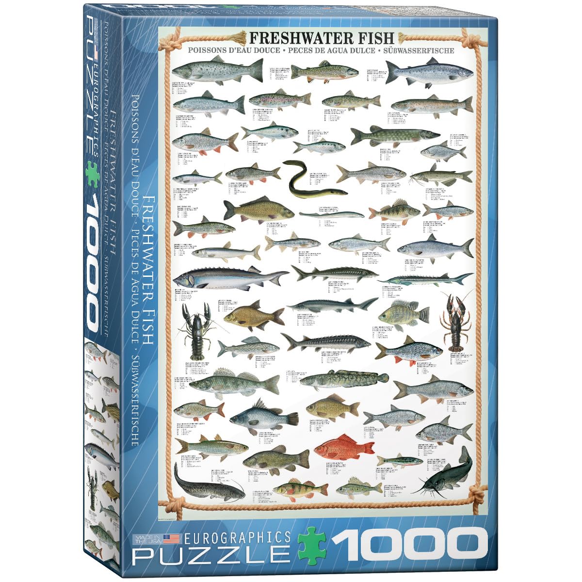 Eurographics Freshwater Fish 1000-Piece Puzzle