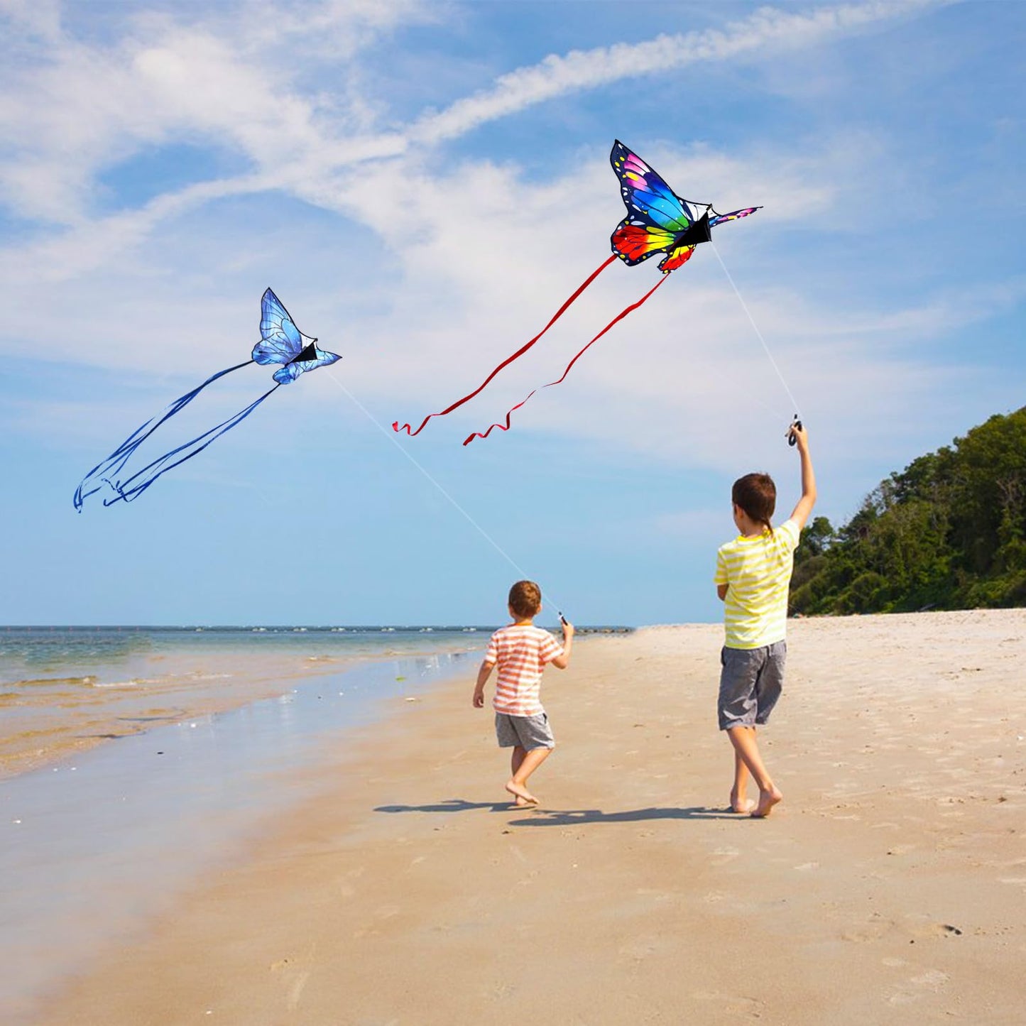 Butterfly Kite For Kids & Adults Easy To Fly, 55'' X 28'' Large Single Line Kites For The Beach, Easy Flying Kite Comes With 300