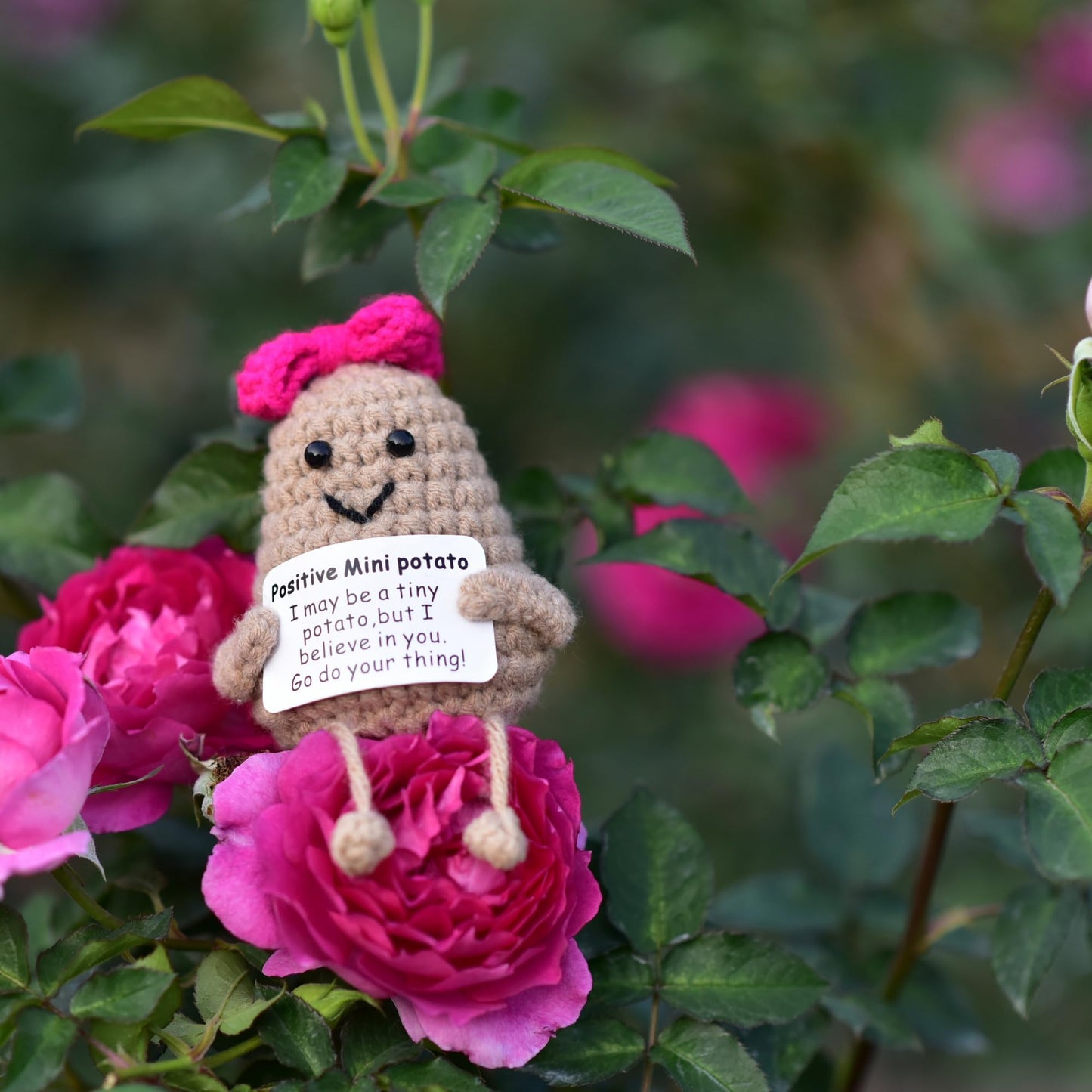 Qyqkfly 1 Pcs Positive Mini Funny Potato Holding Card Crochet Easter Birthday Christmas Mom Dad Sister Friend Wife Husband Colleauge College Students Coworkes Cheer Up Gift Decor