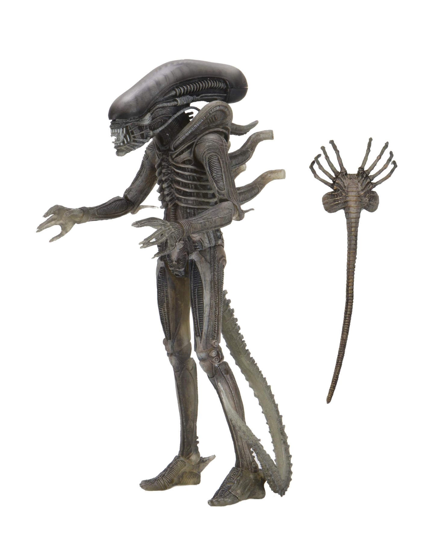 Neca Alien 40Th Anniversary 7 Scale Giger Action Figure