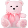 Chalyna 10 Inch Bear Stuffed Animal Gift First Bear Baby Shower Plush Toy For Wedding Birthday Easter Back To School Gift(Pink)