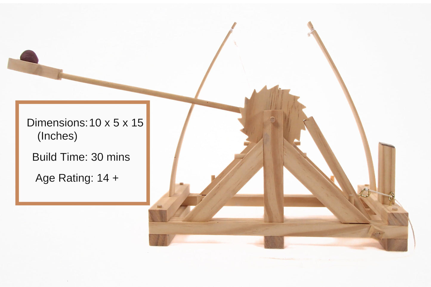 Pathfinders Stem Kits – Leonardo Da Vinci Catapult Kit | Trebuchet Science Kits For Kids Age 12-14 | Stem Toy For Kids Age 12-14 Physics Toys | Engineering Kit | Learning Resource | Engineering