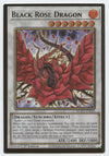 Black Rose Dragon - Mged-En026 - Premium Gold Rare - 1St Edition