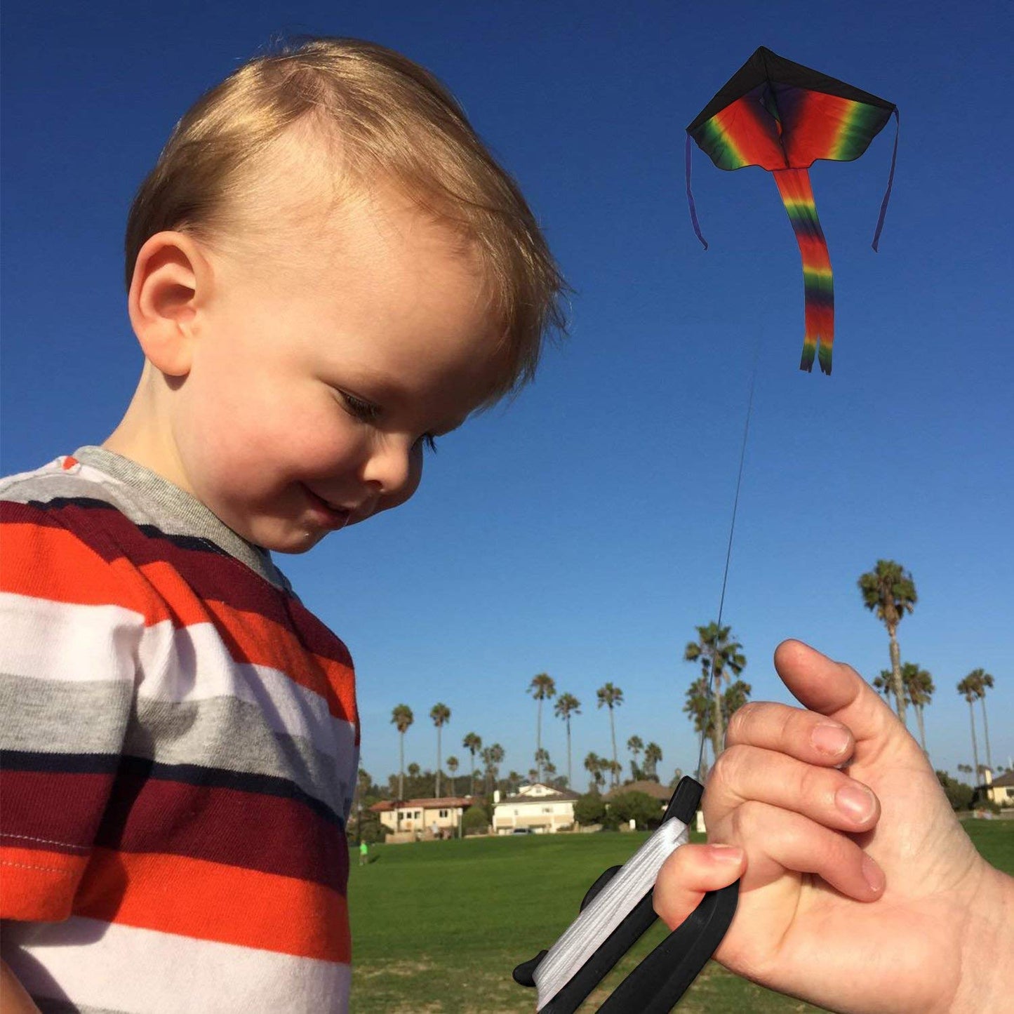 Singare 2 Pack Rainbow Delta Kite, Kites For Kids Adults Easy To Fly, Long Tail Huge Flyer, Great Outdoor Activities Beach Games For Kids, With Line And Handle