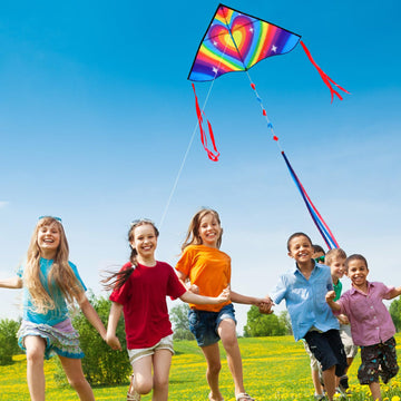 Honbo Delta Kite For Kids & Adults,Easy To Fly Kites For Kids Ages 4-8, Wonderful Single Line Beach Kites For Adults Gaint, Kite