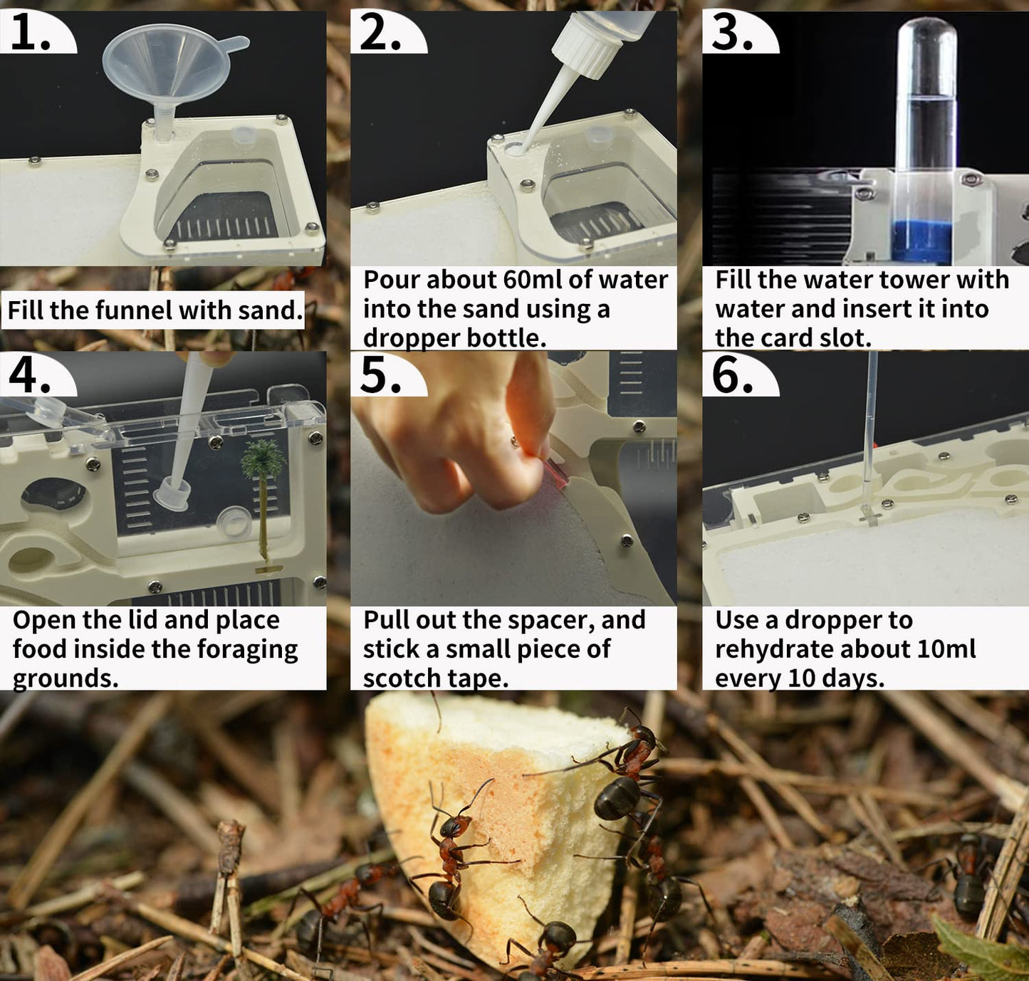 Ant Farming Castle, Habitat Science Learning Kit, Farms For Live Ants, Colony Educational Toy Kit Kids