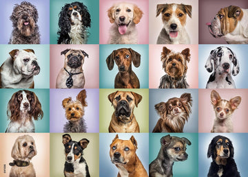 BEDUKE Jigsaw Puzzles for Adults 1000 Piece - Every Piece is Unique - Precise Interlocking Thick Sturdy Cardboard Dogs Animals F