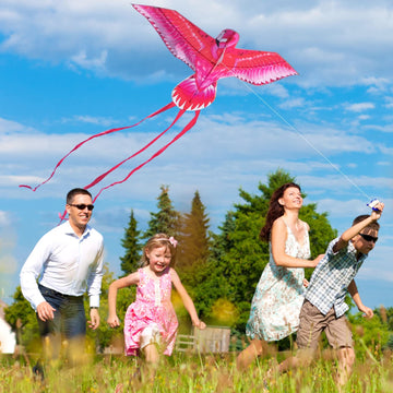 Mint'S Colorful Life Pink Kite For Kids Adults, Large Flamingo Bird Kite Easy To Fly Beach Kites