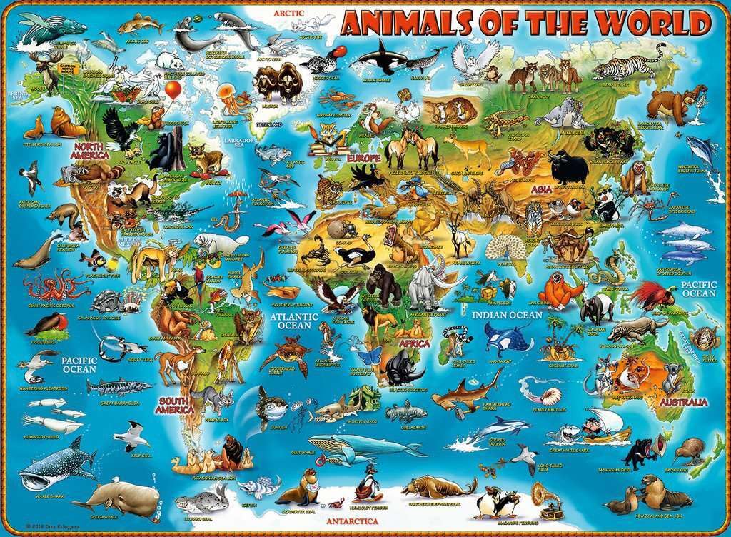 Ravensburger 300 Piece XXL Jigsaw Puzzle - Animals of The World, Anti-Glare, Cardboard, Multicolor, Model 13257, Fun Skill-Building Activity