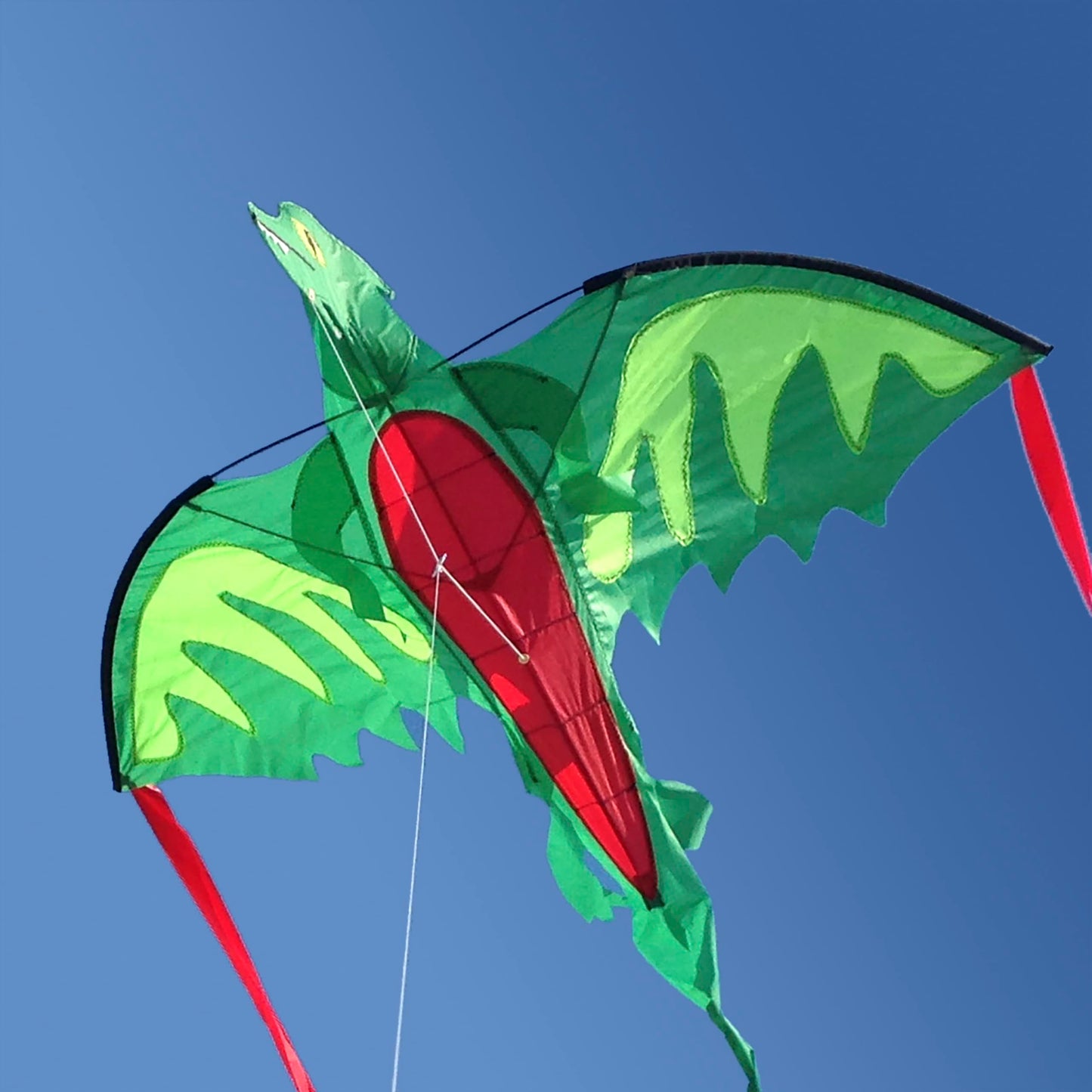 Melissa & Doug Winged Dragon Shaped Kite (62-Inch Wingspan)
