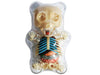 4D Master Gummi Bear Skeleton Anatomy Model Kit, Clear