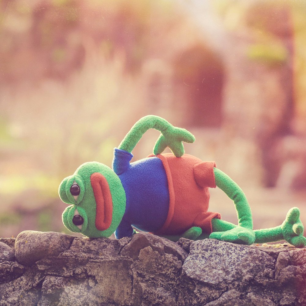 Hashtag Collectibles Pepe The Frog - The Official Plush Doll (Anatomically Correct)