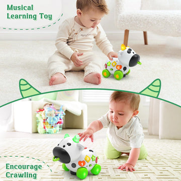 Talkfun Musical Cow Toy for 1+ Year Olds, Bilingual Learning Toy for 6-12-18 Months, Green Medium Size, Perfect Gift for Boys & Girls