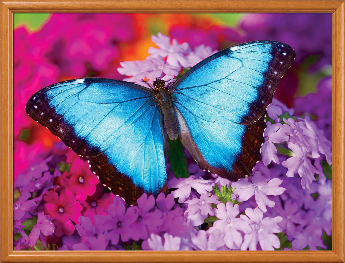 Masterpieces 550 Piece Jigsaw Puzzle For Adults, Family, Or Youth - Iridescence - 18''X24''