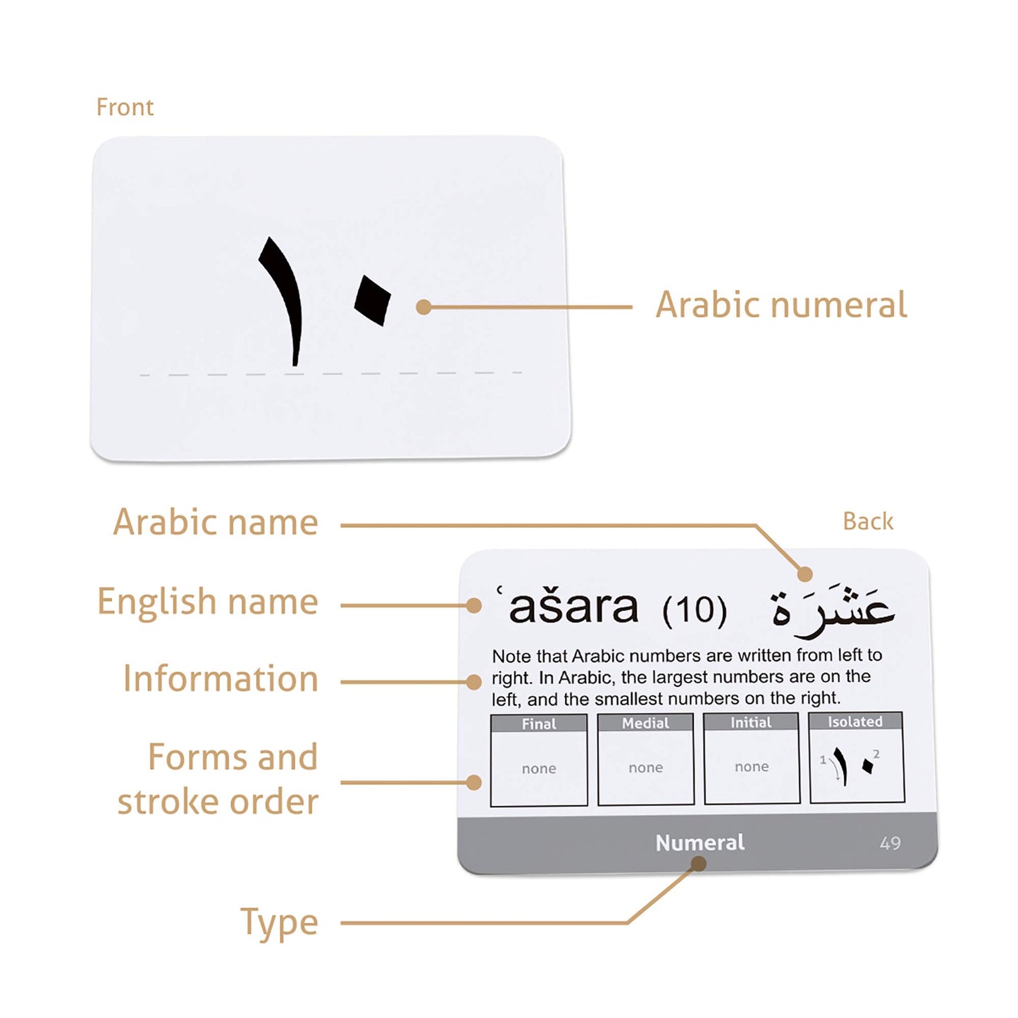 CARDDIA Arabic Alphabet Flashcards - Standard Poker Size, Black & White, Includes Consonants, Vowels, Diacritics, & Numerals for Beginners