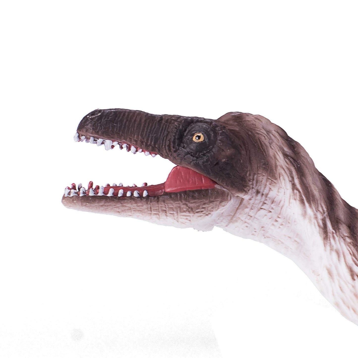 Mojo Troodon With Articulated Jaw Realistic Dinosaur Hand Painted Toy Figurine, Brown