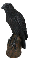 Ebros Gift Gothic Raven Figurine Crow Scavenger Bird Perching On Rock Sculpture 6' H Ossuary Macabre Harbinger Of Doom Ravens Crows Death Creature