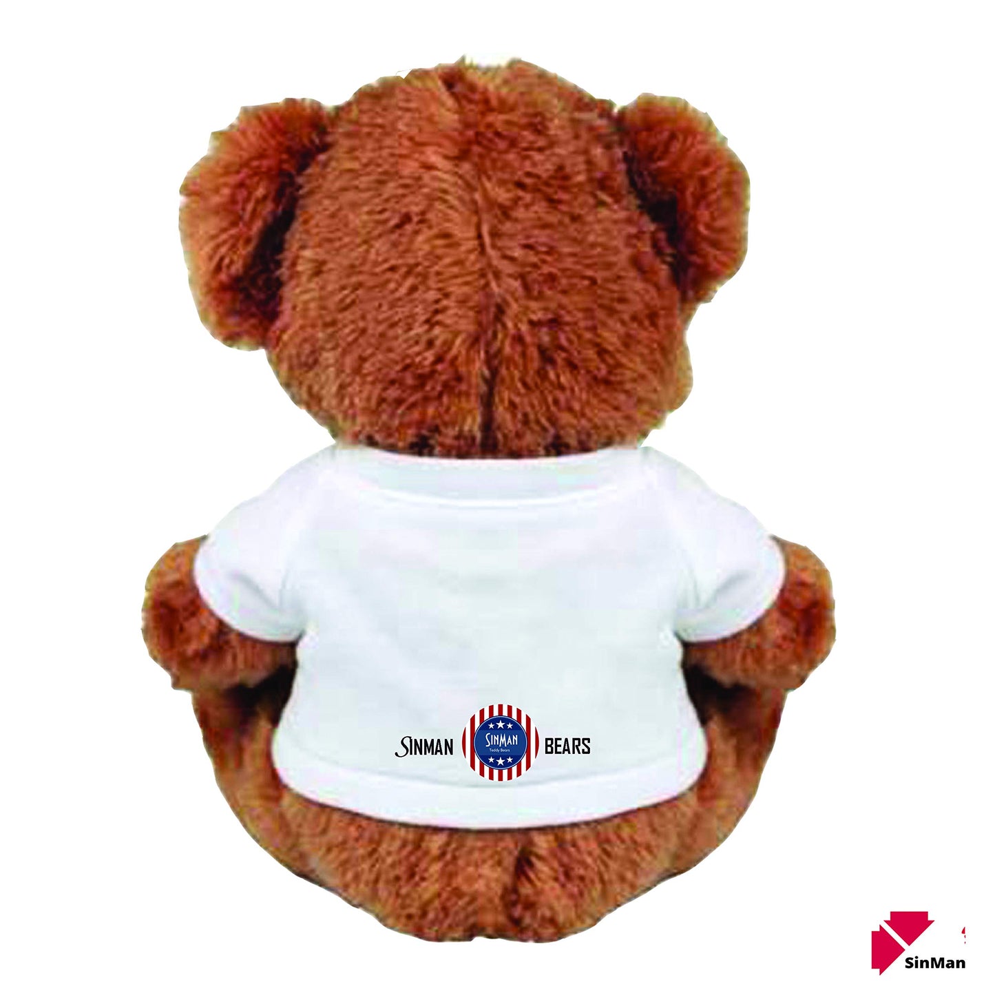 Sorry and Forgive Me Gift: Funny Teddy Bear Couple Gift: Medium Teddy Bear Stuffed Animal