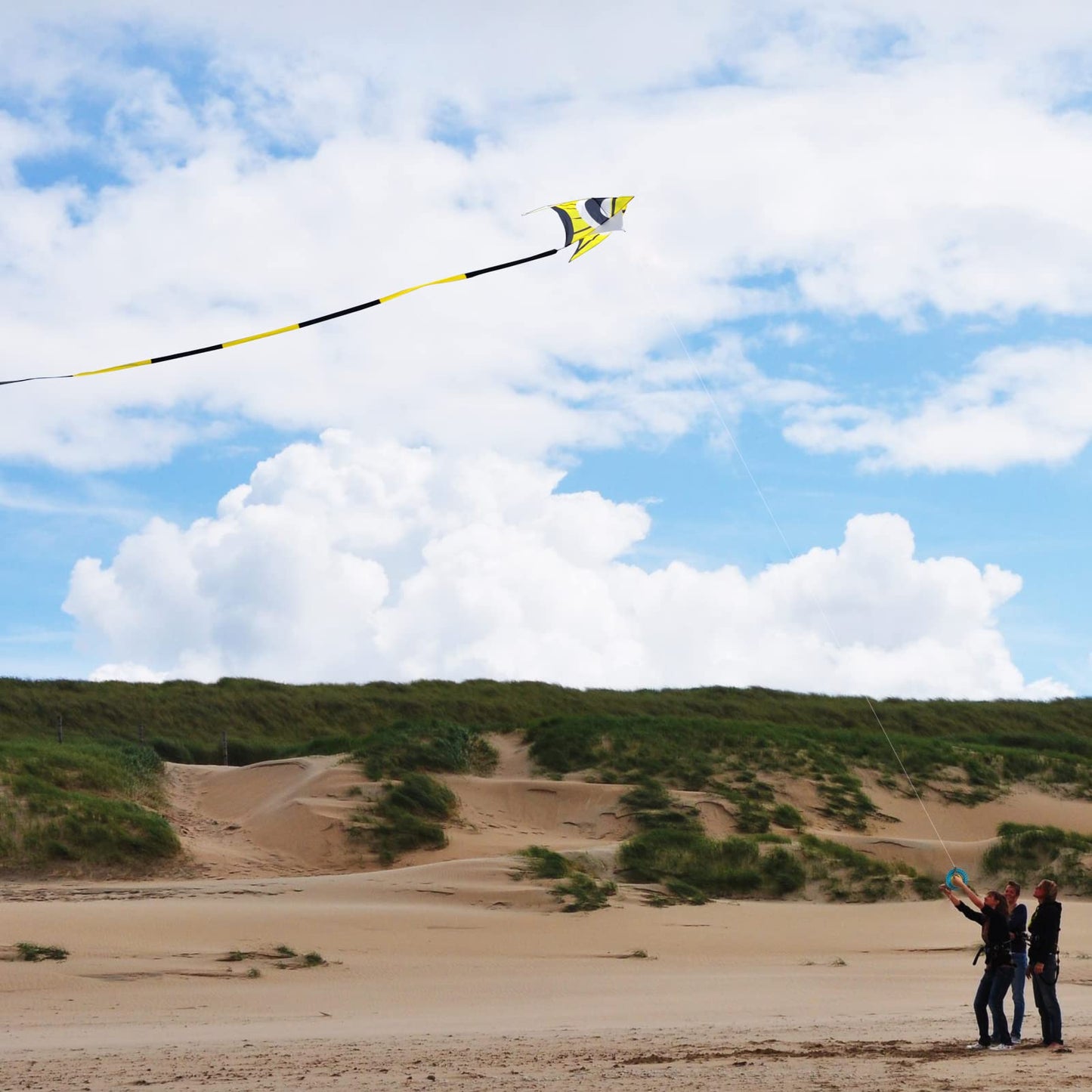 Kaiciuss Huge Delta Kite For Adults Easy To Fly, 8.2 Ft Giant Single Line Kite, Extra Large Beach Kite With 30M Kite Tail And 300Ft Kite Handle (Yellow)