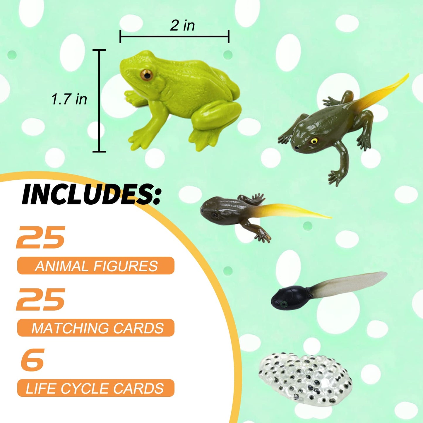 Montessori Life Cycle Animal Figurines Learning & Education Toys, Plastic Insect Snail Ladybug Bee Dragonfly Monarch Butterfly Tadpole To Frog Kit Toy, Preschool Learning Activities Science Toys