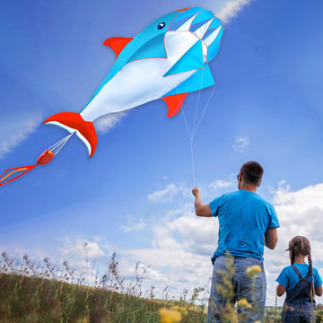 Hengda Kite 3D Dolphins Kite,For Kids And Adults,Easy To Fly,Excellent Fabric And Structure Design,The Pictures Are Beautiful In