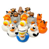 Cool Noah'S Ark Rubber Duckies (Set Of 21) 10 Pairs Of Animals And Noah Himself! Christian Jewish Bible Sunday School And Vbs Su