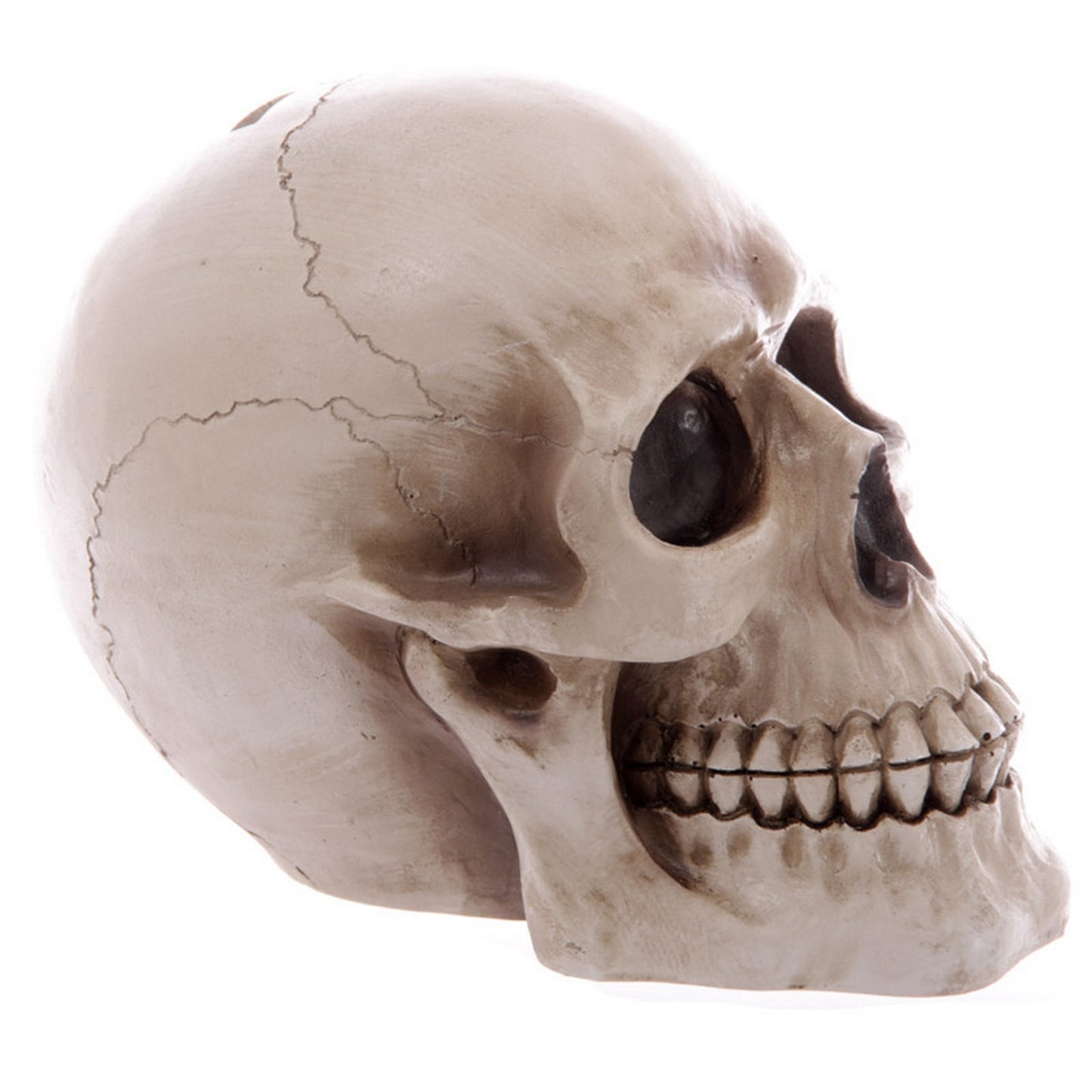 Puckator Mb185, Piggy Bank, Skull Design
