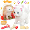 Smilesskiddo Meow Kitty Toys For Girls - Electronic Walking Cat With Animated Walking Wag Tail, Storage Cage And Accessories, In