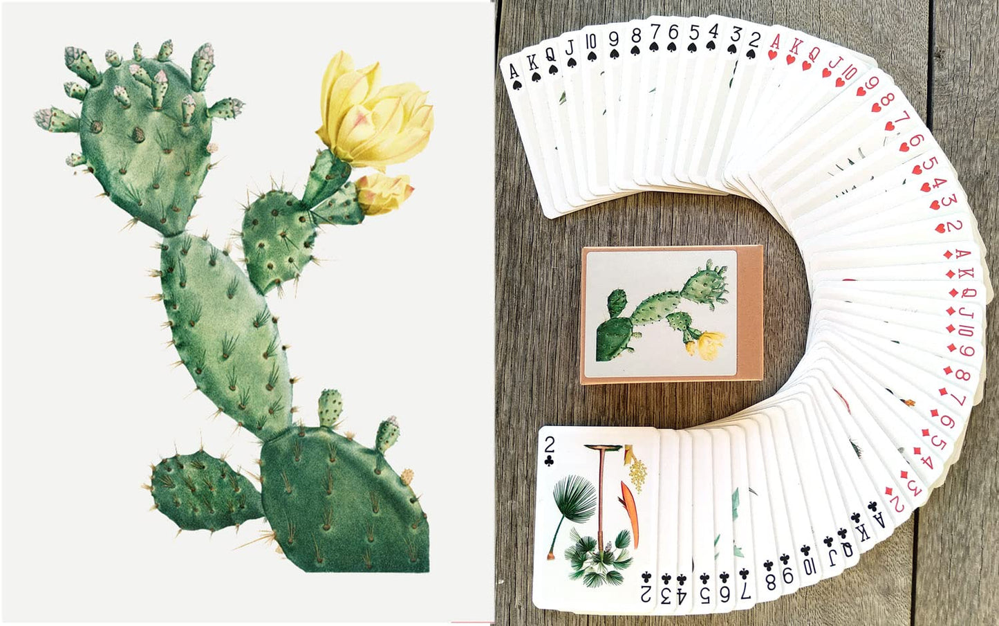 FLONZGIFT Cactus and Succulents Playing Cards (Poker Deck 54 Cards All Different) Vintage Antique Botannical Books Illustration