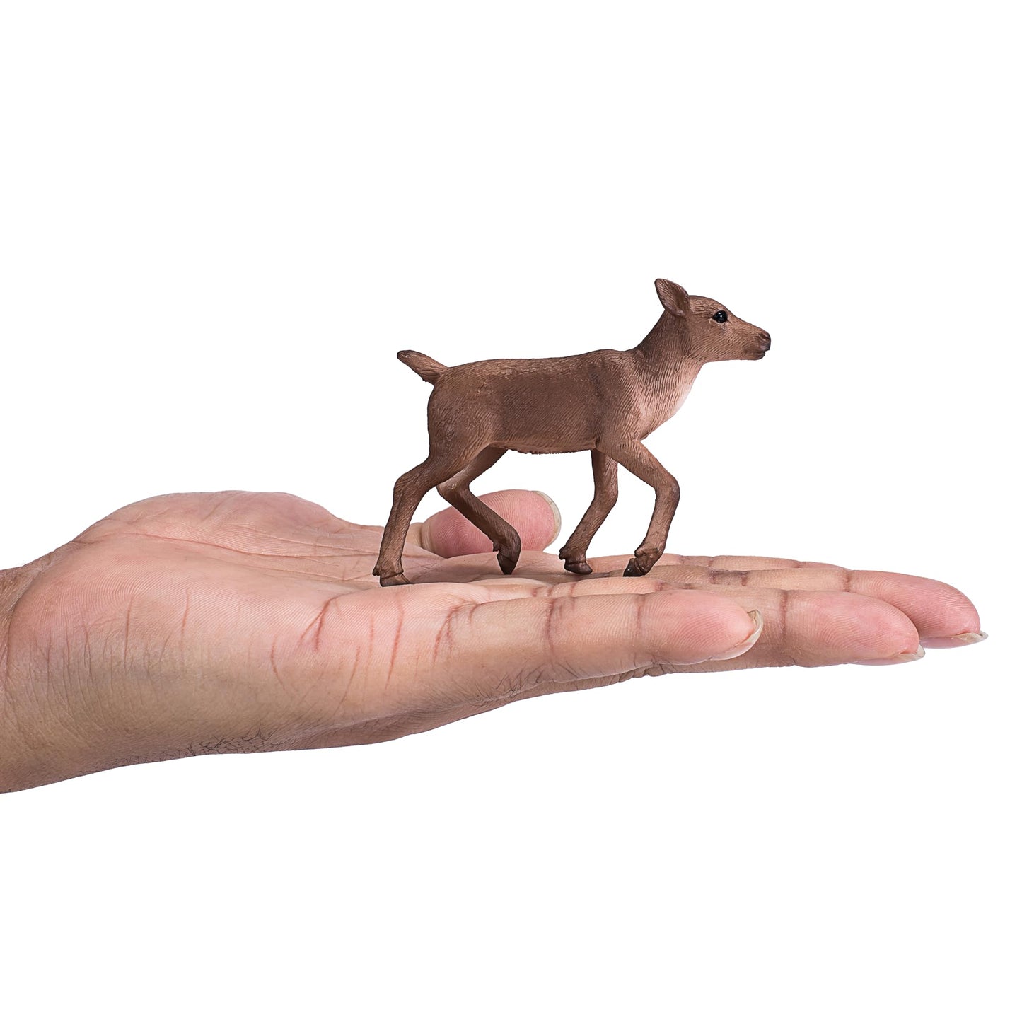Mojo Raindeer Calf Realistic International Wildlife Hand Painted Toy Figurine