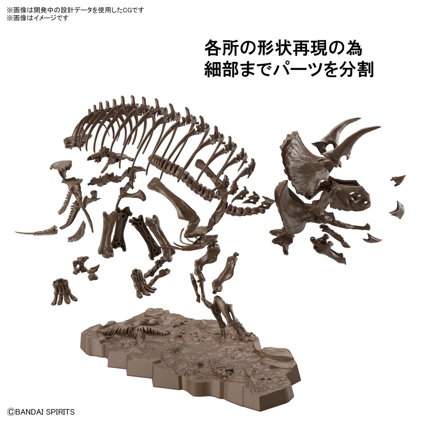 Bandai Hobby - Dinosaur - Triceratops, Bandai Spirits Imaginary Skeleton 1/32 Model Kit