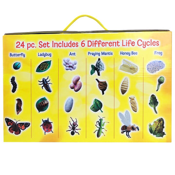 Insect Lore Life Cycle Figurines Set - 24 Pc, Includes Butterfly, Ladybug, Frog, Honey Bee, Ant, Praying Mantis, Plastic, Model 2205