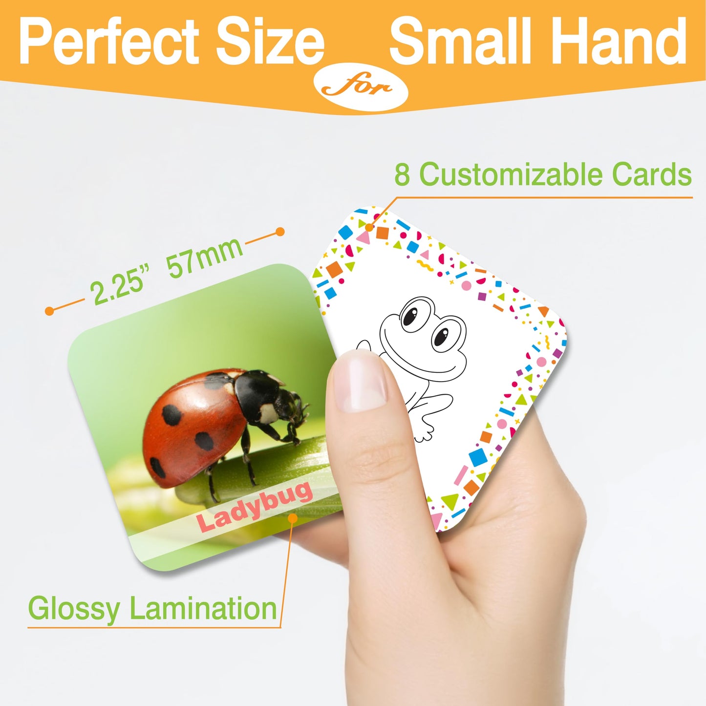 72 (36 Pairs) Spanish English Bilingual Animal Memory Matching Game With Reusable Custiomizable Cards,Instruction Language Learn