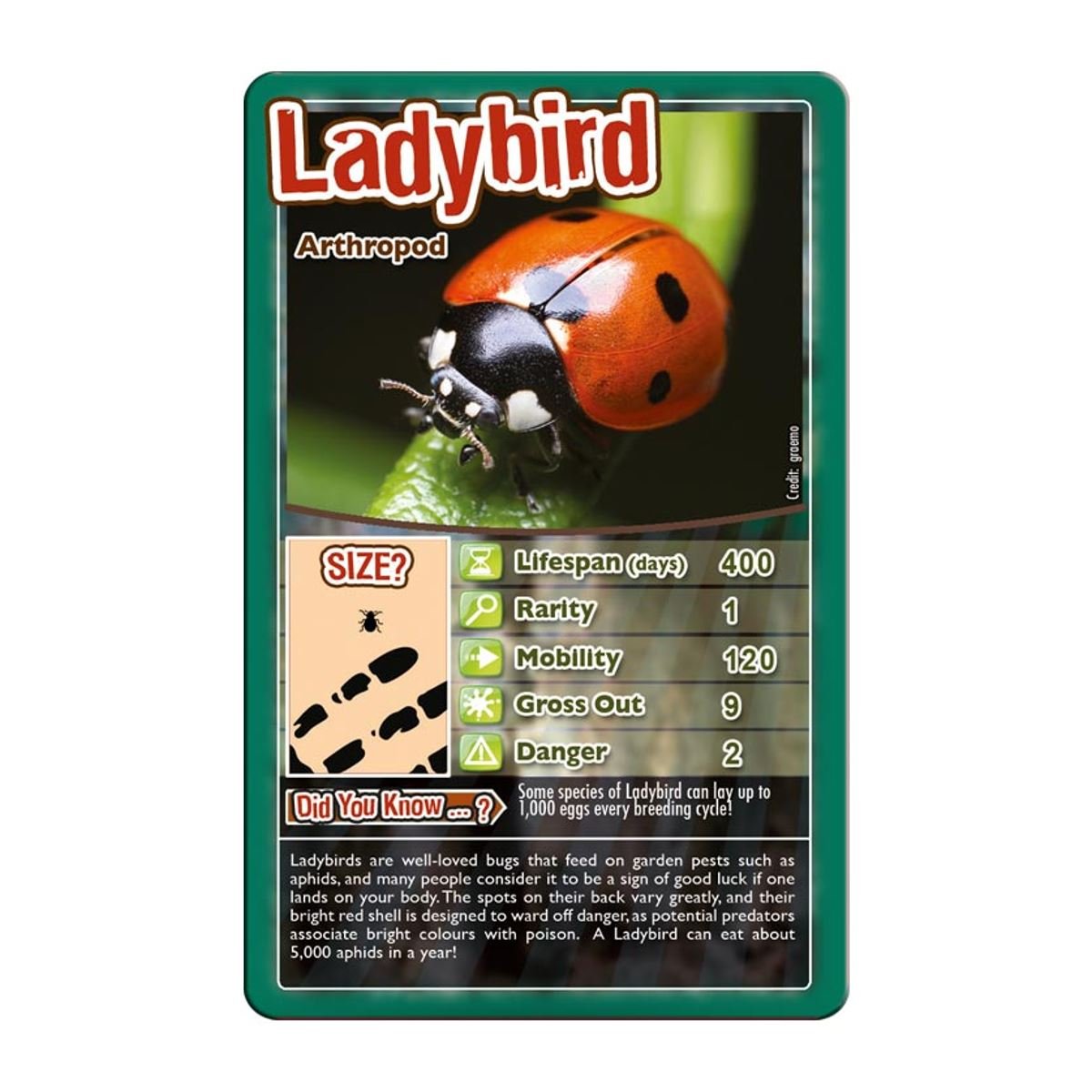 Top Trumps Bugs Classic Card Game, Learn Facts About The Black Widow, Furry Tarantula, Praying Mantis And The Ladybird In This E