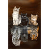 Jigsaw Puzzles 1000 Pieces for Adults - Three Cats Reflection - Wooden Puzzle - Unique Suitable for Teenagers and Adults (75x50c